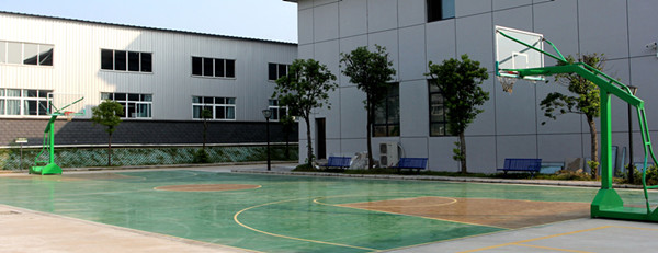 桐玉投资公共篮球场